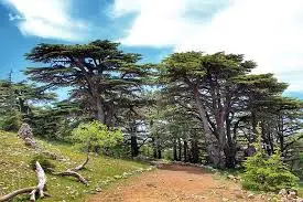 Beiteddine, Deir El Qamar & Cedars of Barouk
